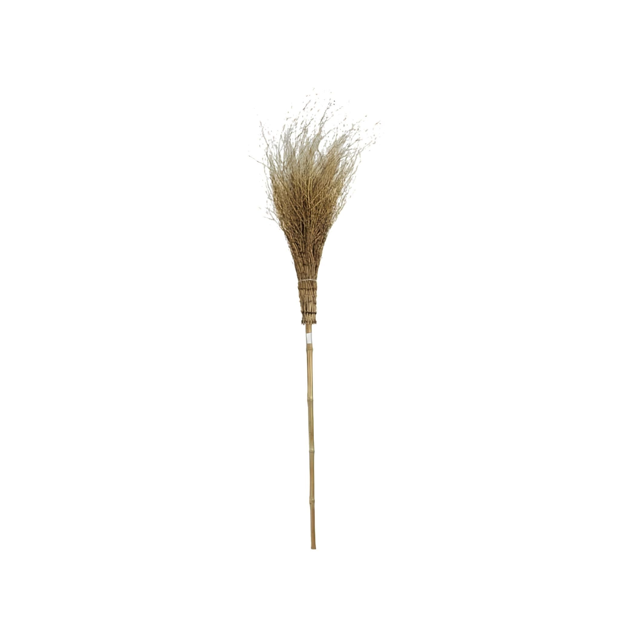Witch Broom